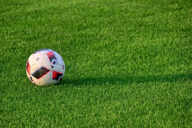 Bucktail Football Opponent Records